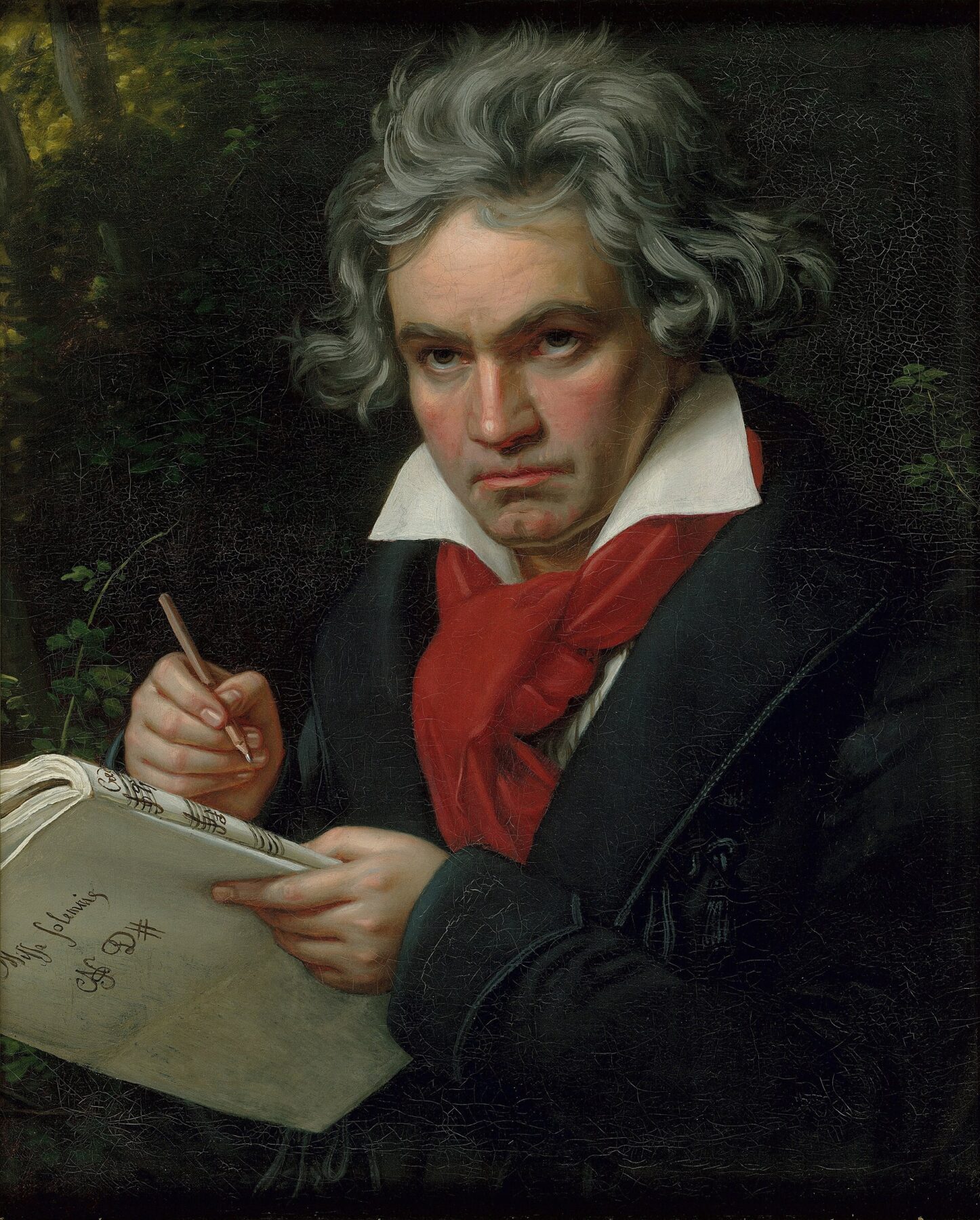 ルートヴィヒ・ヴァン・ベートーヴェン　1770年頃–1827年　ドイツ生まれの作曲家・ピアニスト　古典派音楽を代表する音楽家の一人。1820年の肖像画は、ヨーゼフ・カール・シュティーラーによる作品として知られています。