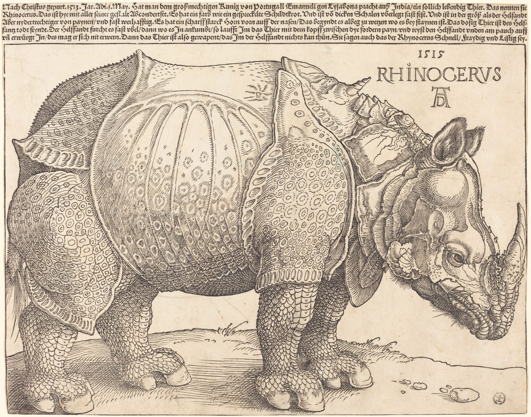 『サイ』 アルブレヒト・デューラー 1515年 木版画 ナショナル・ギャラリー・オブ・アート所蔵 装甲のような皮膚を持つ1515年の木版画