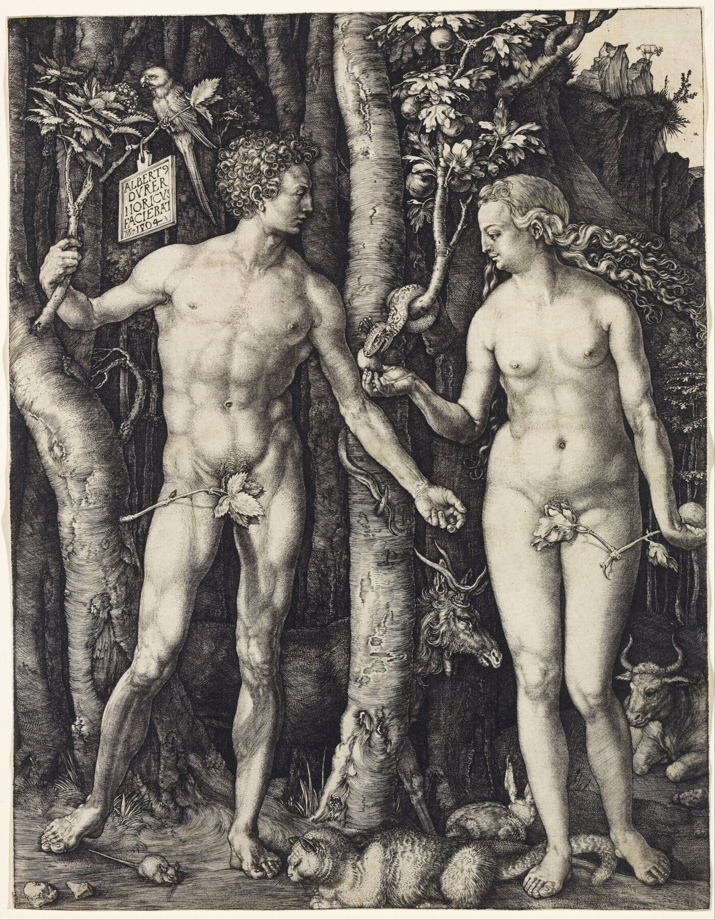 『アダムとエヴァ』 アルブレヒト・デューラー 1504年 銅版画 25.1×20cm メトロポリタン美術館所蔵
人体比例と動物を描いた銅版画