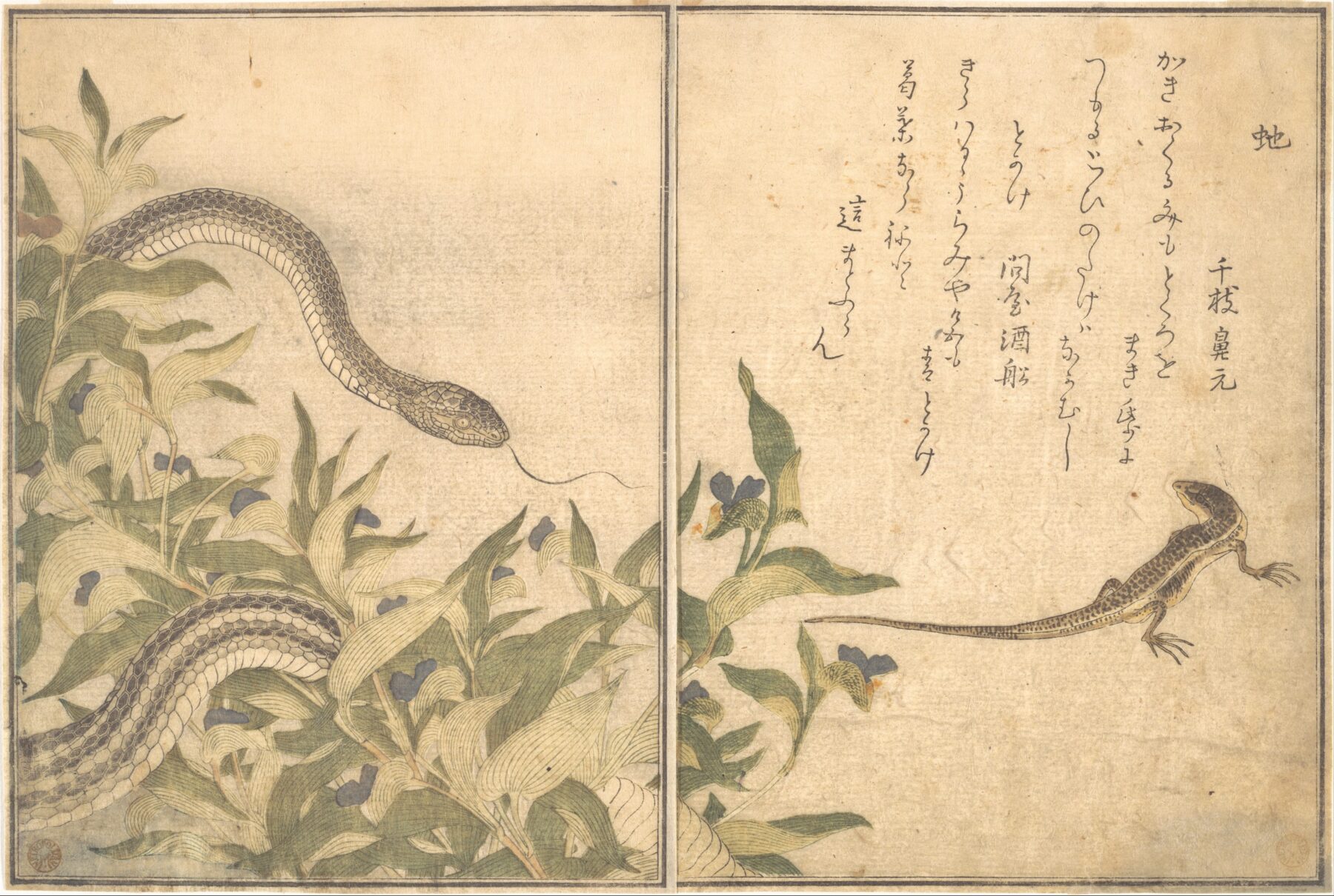 『絵本虫撰 蛇・蜥蜴』　喜多川歌麿　1788年　木版画（摺物・狂歌絵本『絵本虫撰』より）　蛇（へび）と蜥蜴（とかげ）を描いた博物画的作品