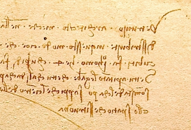 『ウィトルウィウス的人体図』上部の鏡文字。画像:Luc Viatour / Lucnix.be、Wikimedia Commons、PD-Art/Public Domain Mark。元画像から切り抜き済み