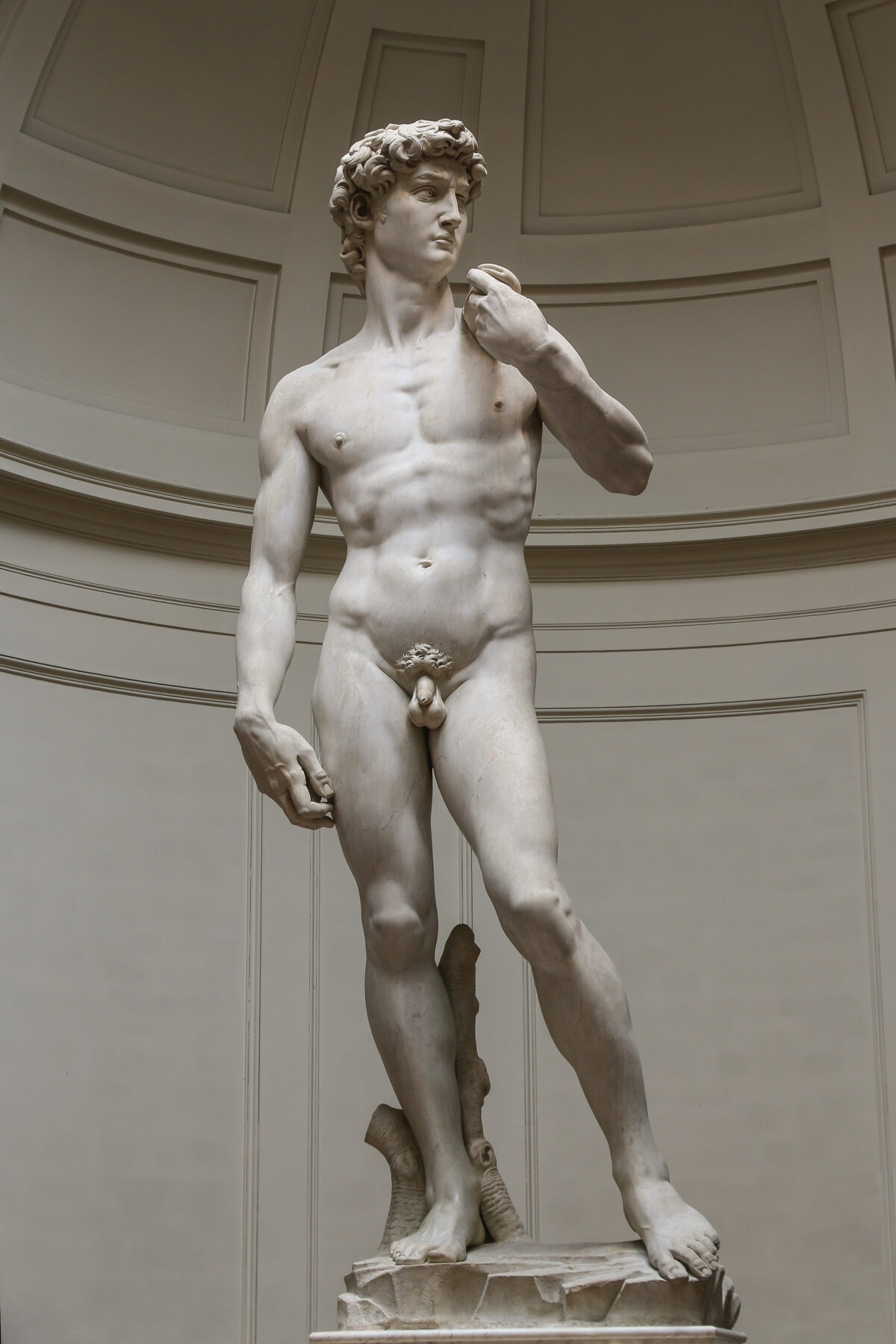 『ダヴィデ像』 ミケランジェロ 1501–1504年 白大理石 高さ517cm アカデミア美術館所蔵。撮影：Jörg Bittner Unna、Wikimedia Commons、CC BY 3.0、改変なし。