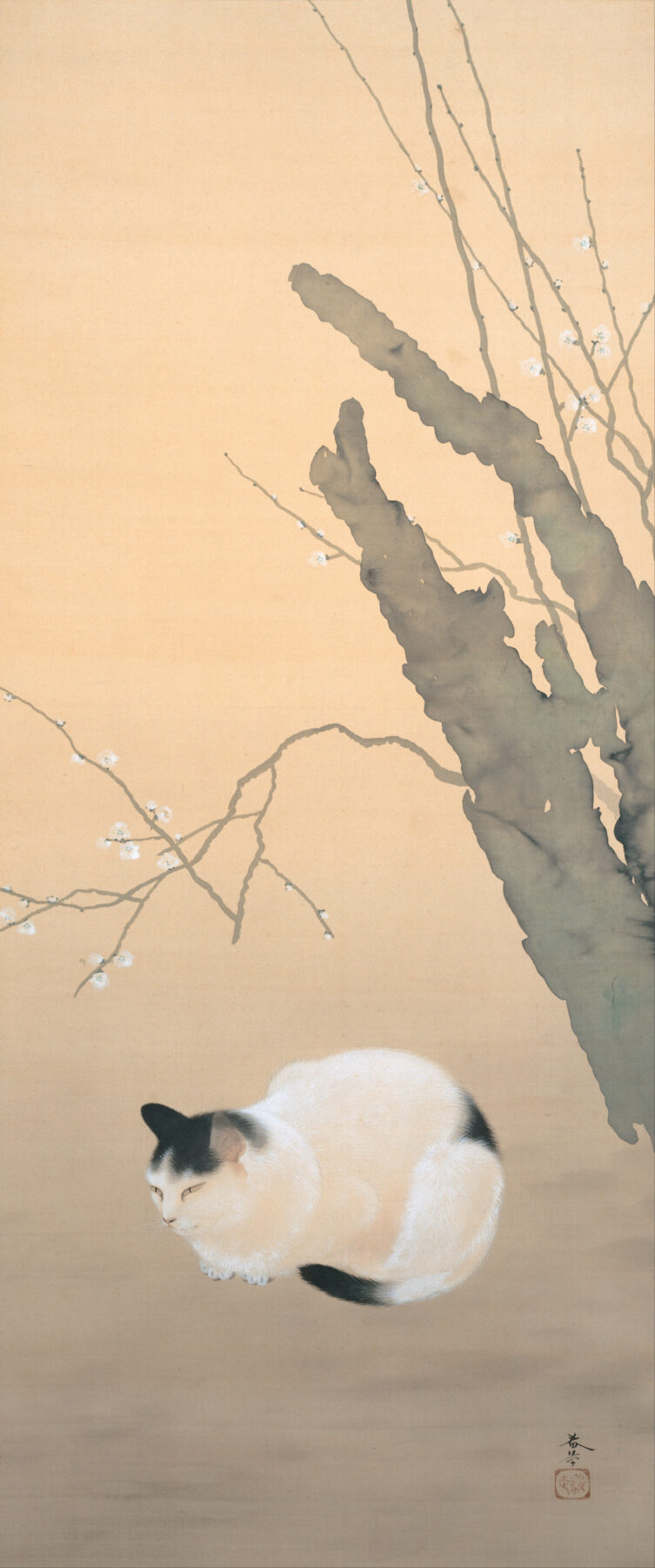 『猫梅』 菱田春草 1906年 絹本著色 足立美術館  梅のそばに猫を描いた日本画