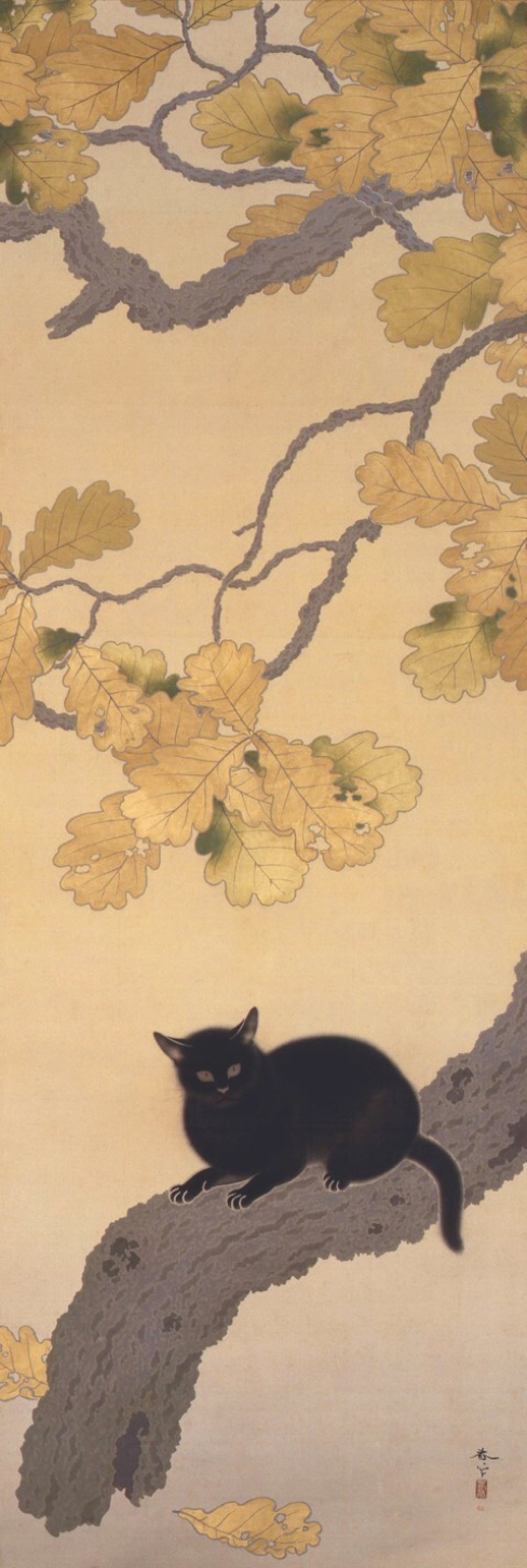 『黒き猫』 菱田春草 1910年 絹本著色 永青文庫、熊本県立美術館寄託 柏の木に身を置く黒猫を描いた日本画