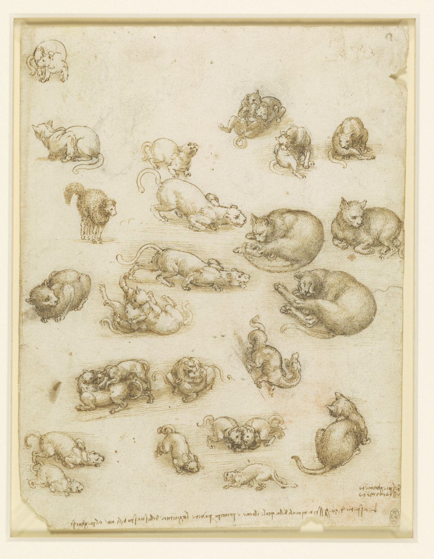 『猫の聖母』 フェデリコ・バロッチ 1575年 油彩・カンヴァス ナショナル・ギャラリー、ロンドン
