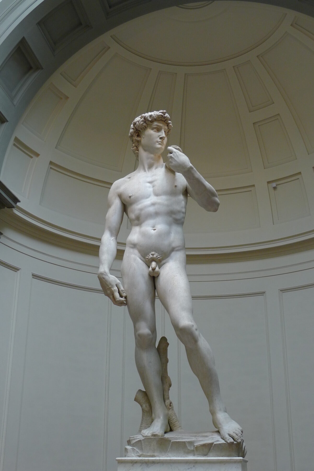 『ダヴィデ像』 ミケランジェロ 1501–1504年 白大理石 高さ517cm アカデミア美術館所蔵。撮影：Jörg Bittner Unna、Wikimedia Commons、CC BY 3.0、改変なし。