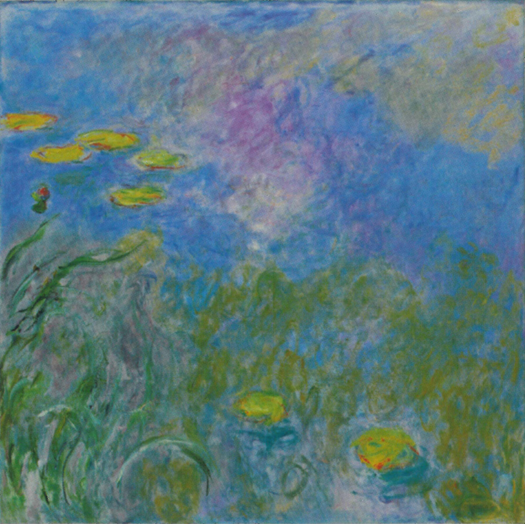 『睡蓮―草の茂み』　クロード・モネ　1914–1917年　油彩・キャンバス　200×213cm　地中美術館所蔵
