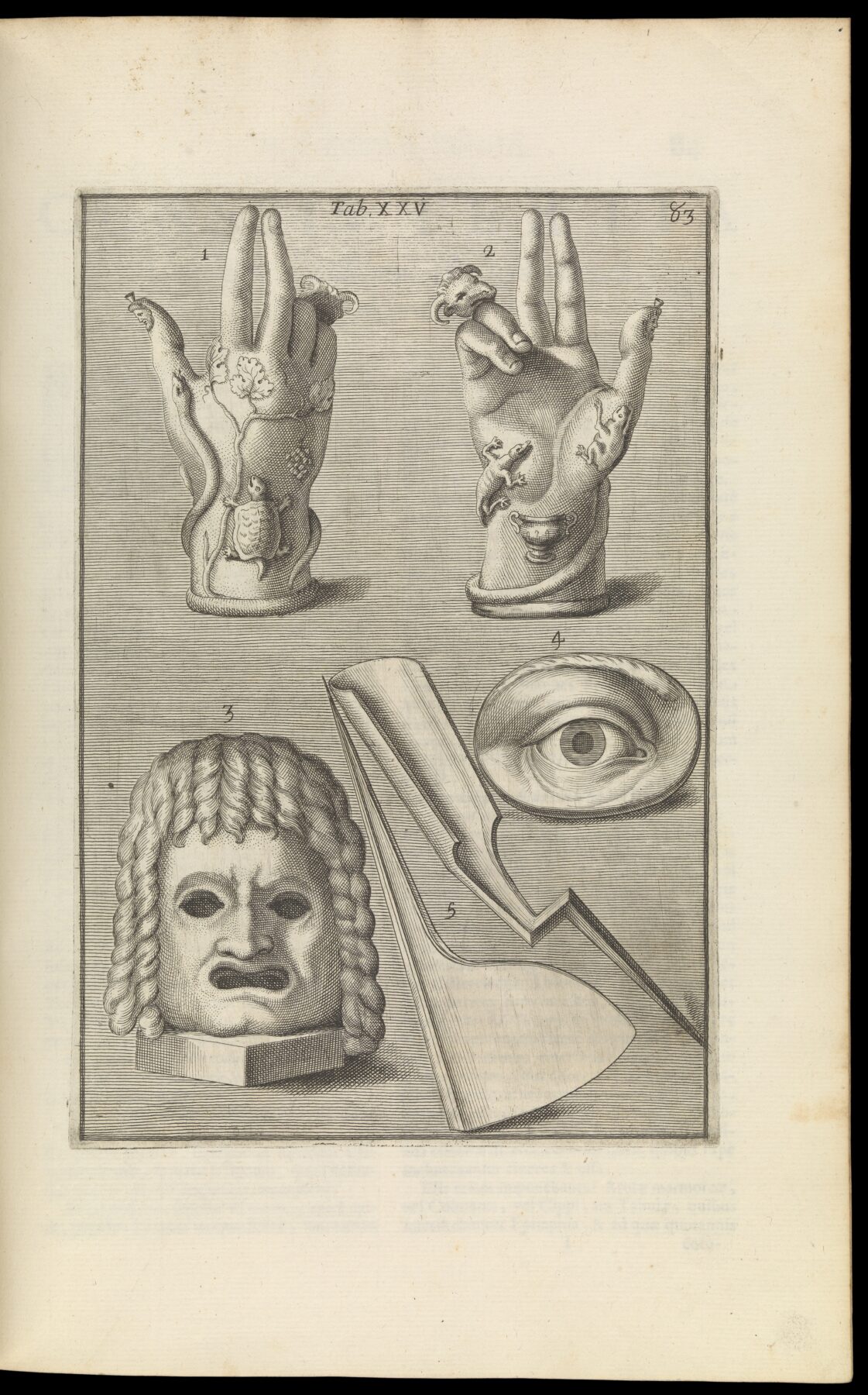 『Musaeum Kircherianum』に掲載された驚異の部屋関連の図版 Tabula 25 1709年刊行 画像:Wellcome Collection/CC BY 4.0(https://creativecommons.org/licenses/by/4.0/)