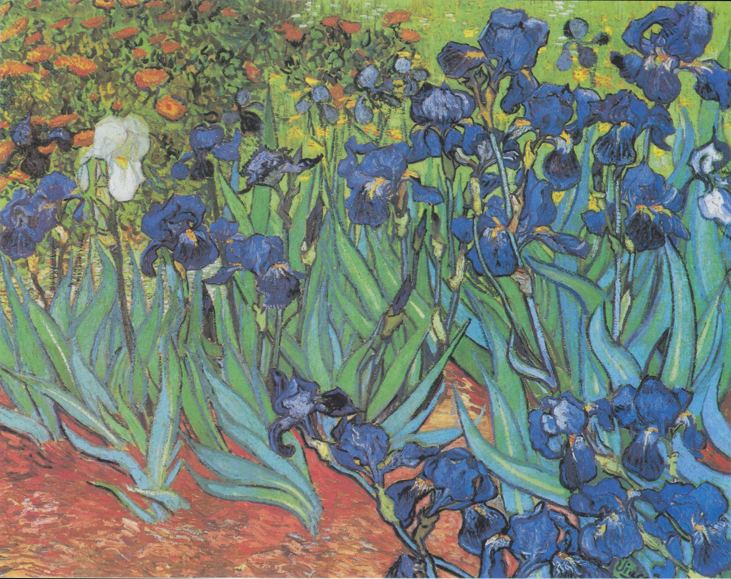 『アイリス』 フィンセント・ファン・ゴッホ 1889年 油彩・キャンバス 74.3×94.3cm J・ポール・ゲティ美術館所蔵（ロサンゼルス）
