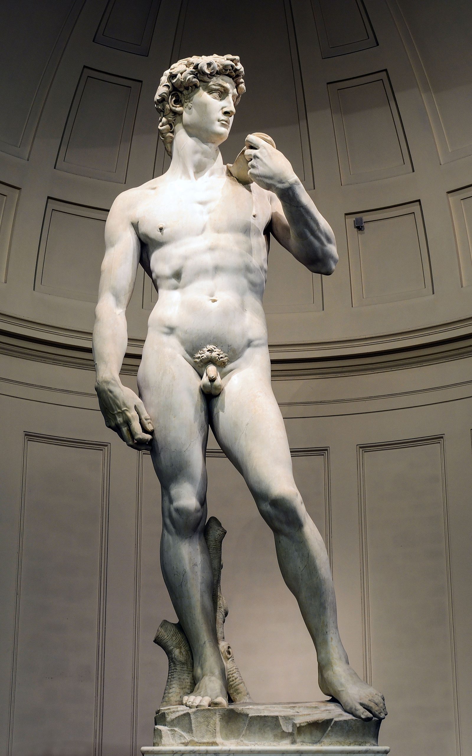 『ダヴィデ』 ミケランジェロ 1501–1504年 大理石 高さ517cm アカデミア美術館所蔵。撮影：Livioandronico2013、Wikimedia Commons、CC BY-SA 4.0、改変なし。