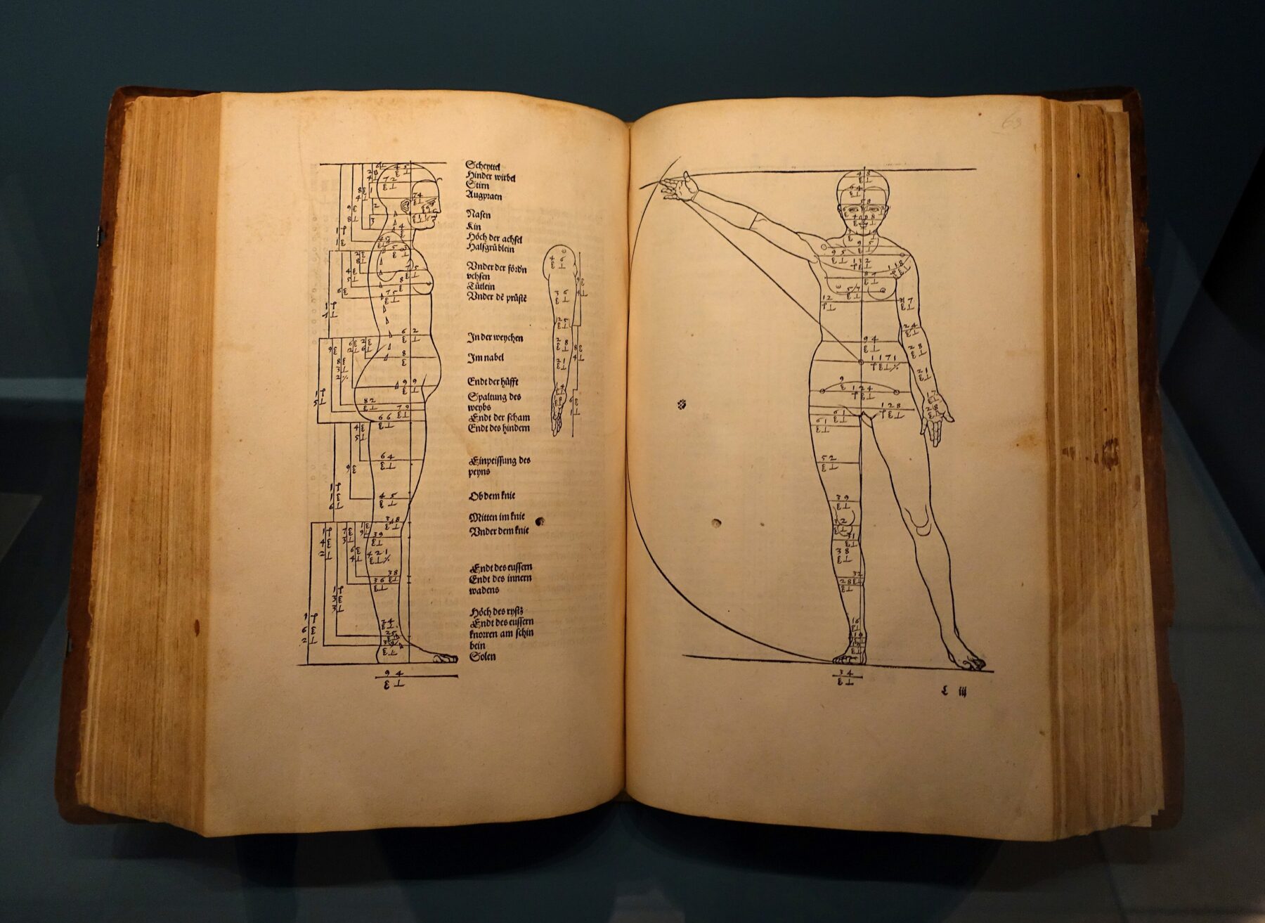 アルブレヒト・デューラー『人体比例論四書』1528年版。ニュルンベルク、ゲルマン国立博物館。