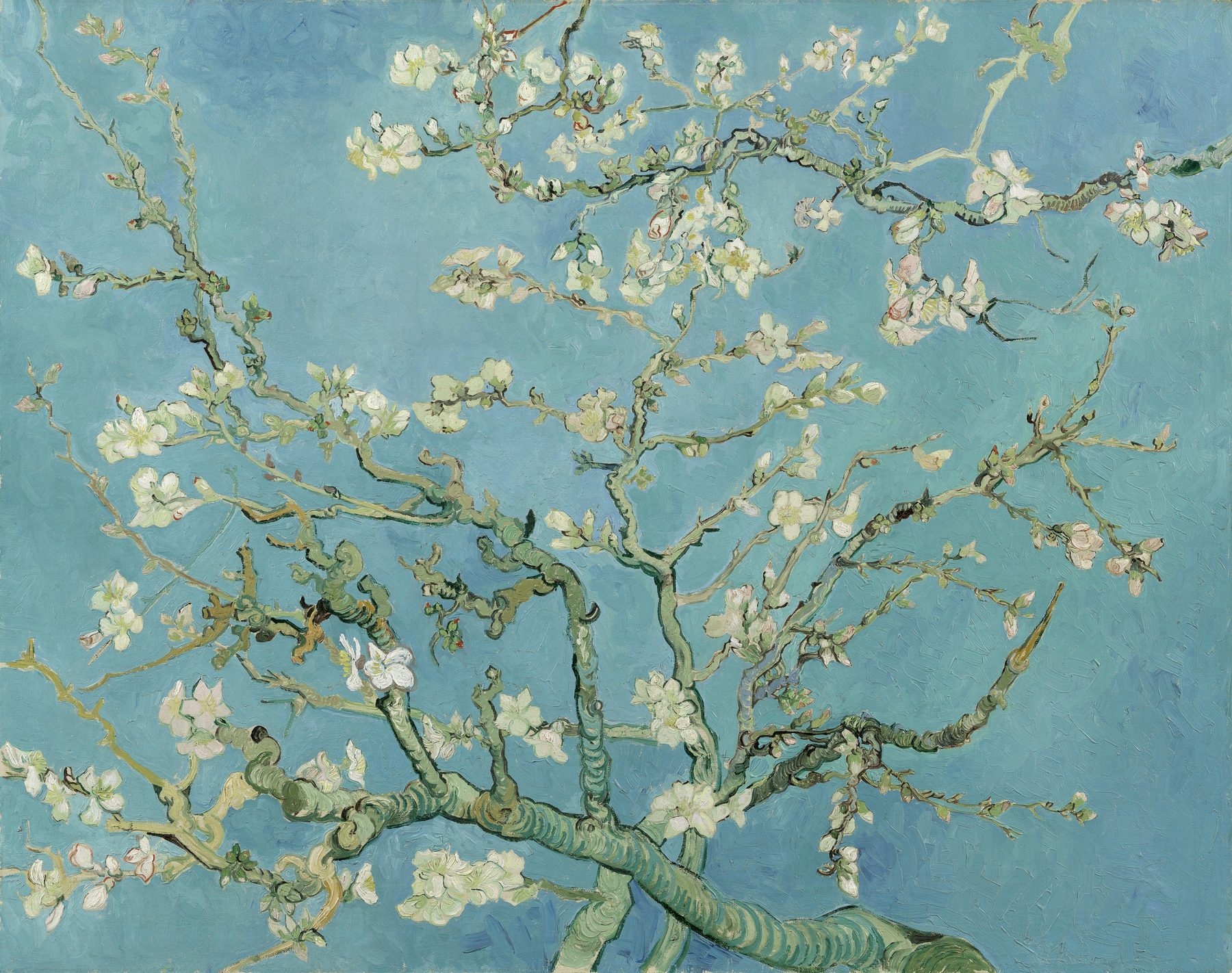 フィンセント・ファン・ゴッホ『花咲くアーモンドの木の枝』1890年2月／油彩・カンヴァス／73.3×92.4cm／ファン・ゴッホ美術館