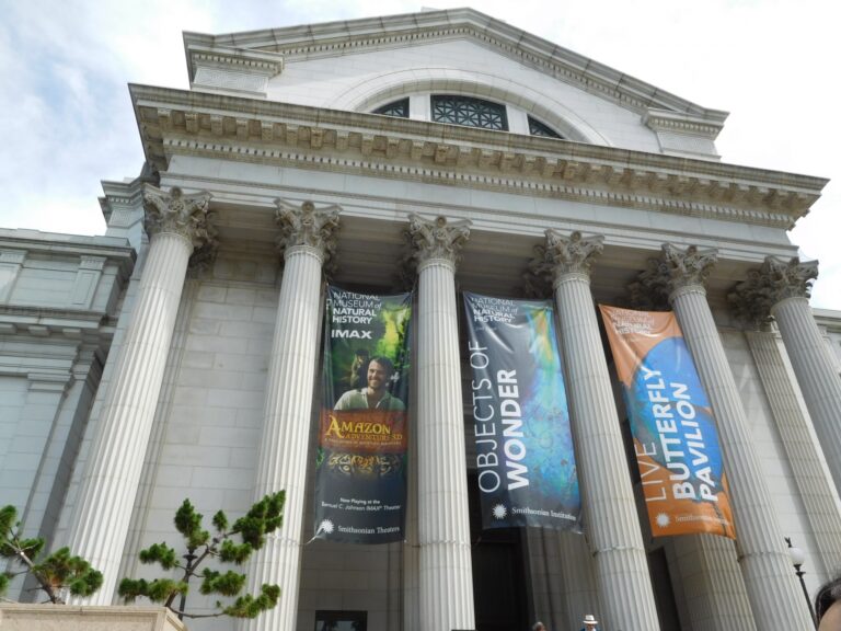 アメリカの有名な美術館・博物館10選｜ニューヨークやワシントンの人気ミュージアムを解説