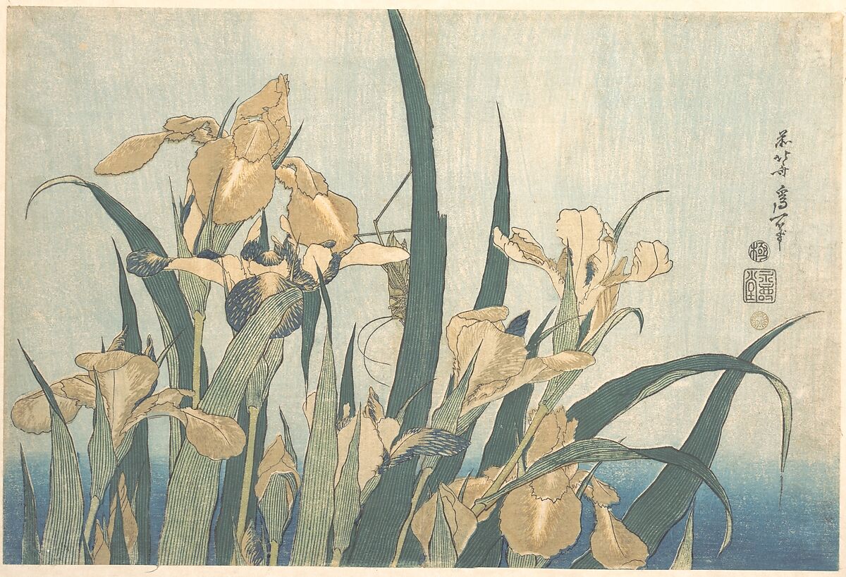葛飾北斎『燕子花とばった』アイリスの浮世絵