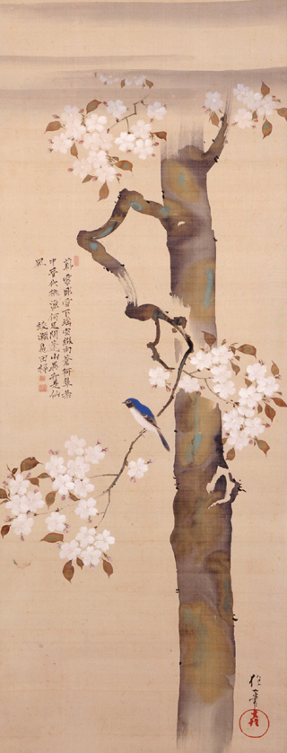 酒井抱一《桜に小禽図》（細見美術館所蔵）